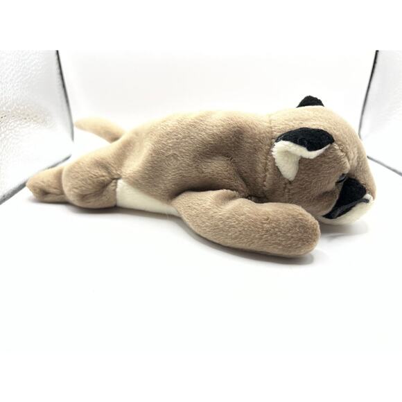 TY Beanie Baby Babies Stuffed Animal Plush Canyon 1998 - Picture 3 of 9